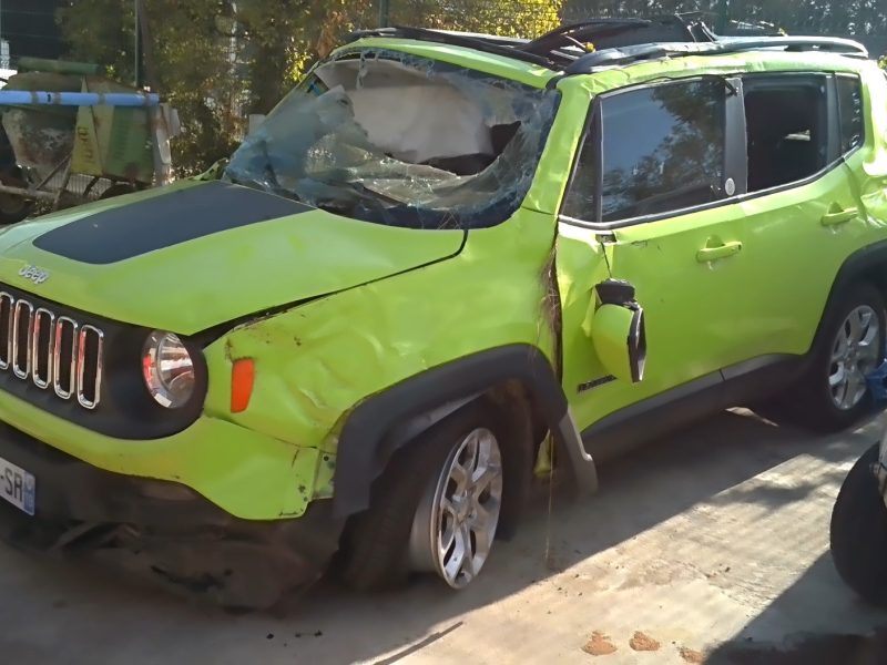 JEEP RENEGADE MULTIJET 2017